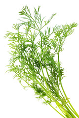 Bunch of dill