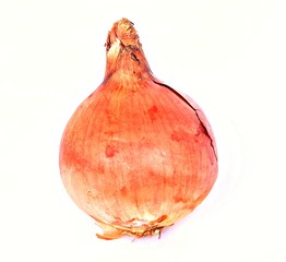Cebolla
