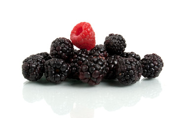 blackberry