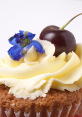 Miniature vanilla cupcake with cherry