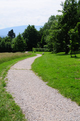 Path Park Bench