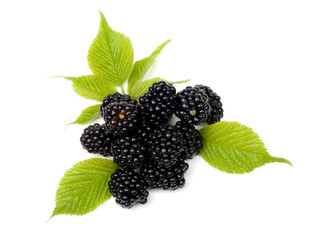 Blackberry