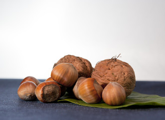 hazelnut