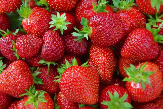 Fresh ripe red strawberry