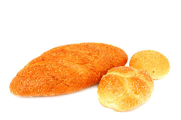 Fresh white bread