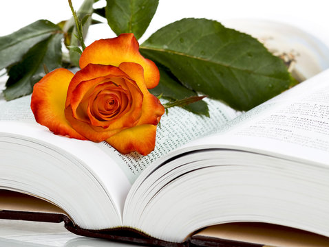 open book and rose