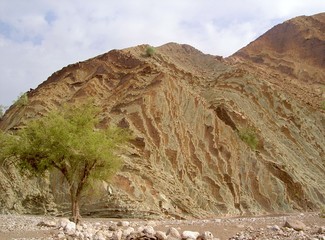Oman - desert