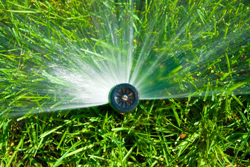 sprinkler of automatic watering
