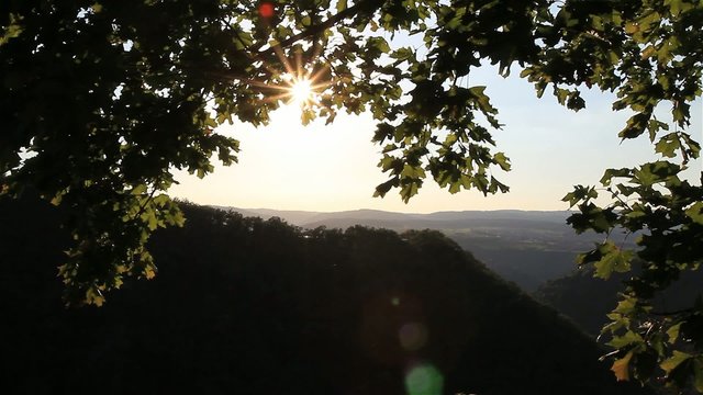 Sonnenuntergang am Rhein