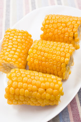 Boiled cobs of sweet corn on a white plate