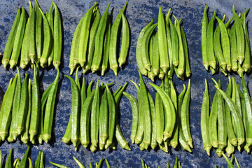 Lady's Fingers or Okra?