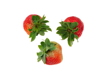 strawberry on white background