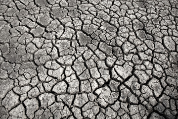 Cracked earth