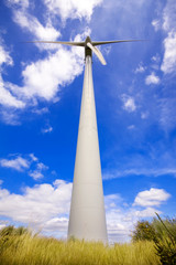 Windmill in a field against a blue sky and clouds, alternative e