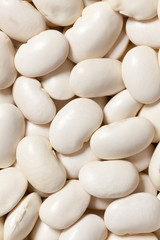 white beans background