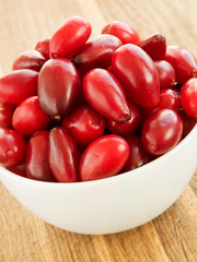 Cornel berries