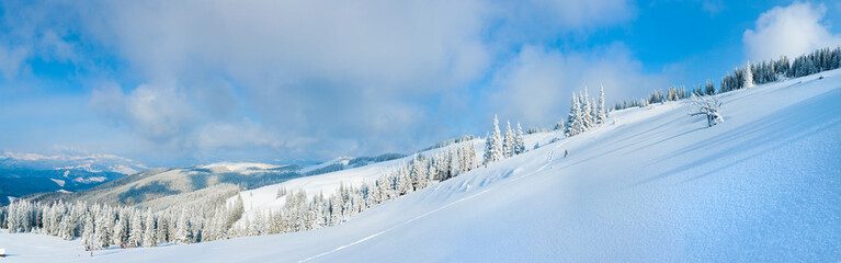 Winter mountain panorama landscape.