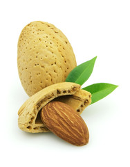 Almond