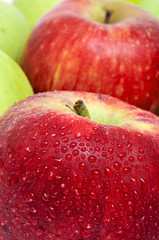 apples