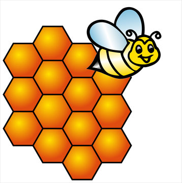 Vector bee and honeycombs