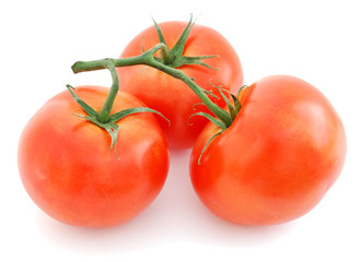 Tomatoes