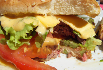 Fototapeta premium hamburger