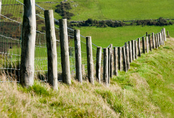 Wodden Posts with Metal Wire Fence in Cattle Field