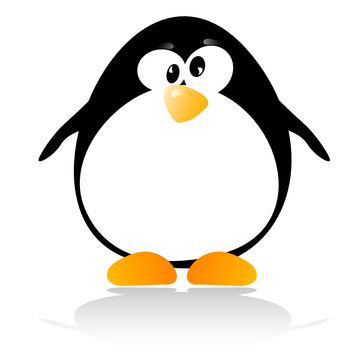 little penguin illustration