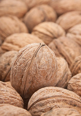 Walnut background