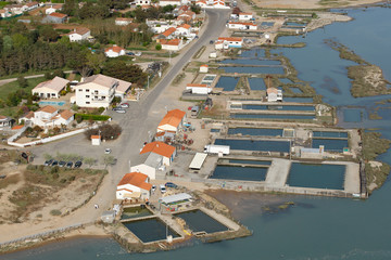 Port ostréicole de la Guittière, Vendée (85)