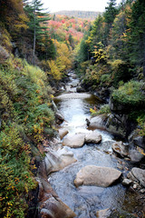 Autumn forest and water