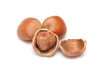 hazelnut