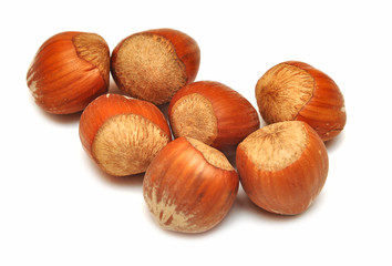hazelnut