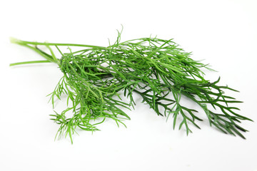 dill on white background