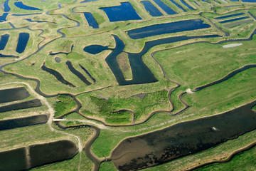 Marais Breton de Bourgneuf-en-Retz, Loire Atlantique (44)