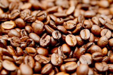 Kaffeebohnen Nahaufnahme