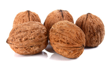 walnut