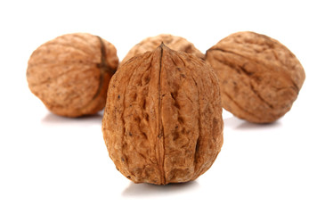 walnut