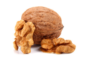 walnut