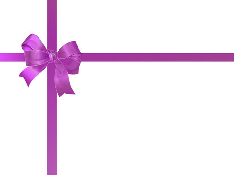 Beautiful purple bow VECTOR