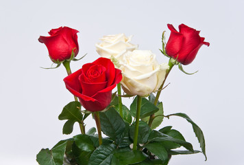 Bunch of red and white roses