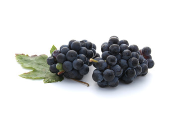 Grappes de raisins