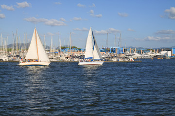 Obraz premium Barche a vela