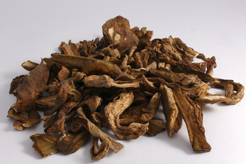 Funghi secchi
