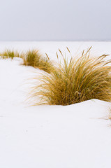 Winter auf Juist, Schneelandschaft