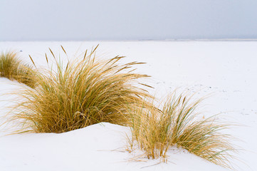 Weihnachten an der Nordsee, Winterlandschaft