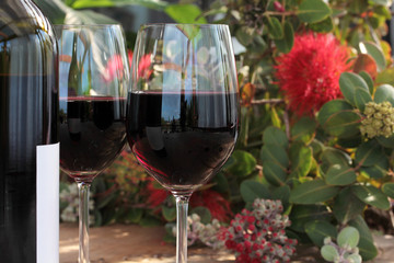 Bottle & Glasses of Red Wine on Outdoor Table with Pohutukawa 4