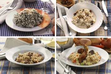Risotto al prezzemolo , pistacchi , pilota e pitocca - Lombardia