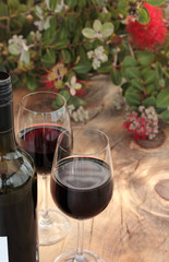 Wine Bottle & Glasses on Outdoor Table with Pohutukawa