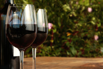 Bottle & Glasses of Red Wine on Table with Bush & Flowers